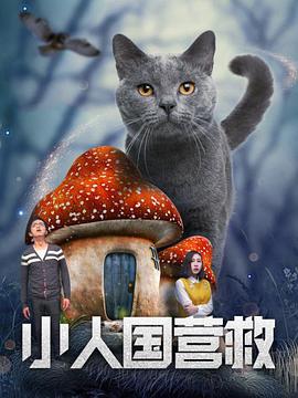 小舞羞羞的视频在线观看