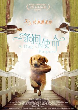色综合久久88中文字幕