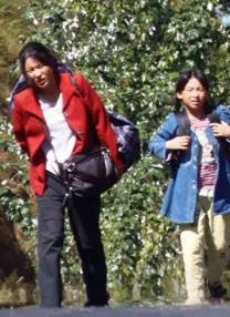 日本香蕉视频在线观看