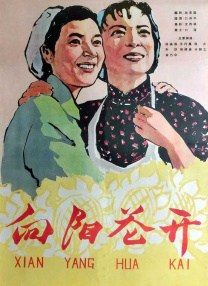 亚洲视频1区