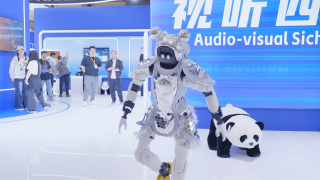 不论的年代